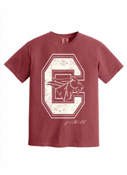 CSHS Logo Horse mockup